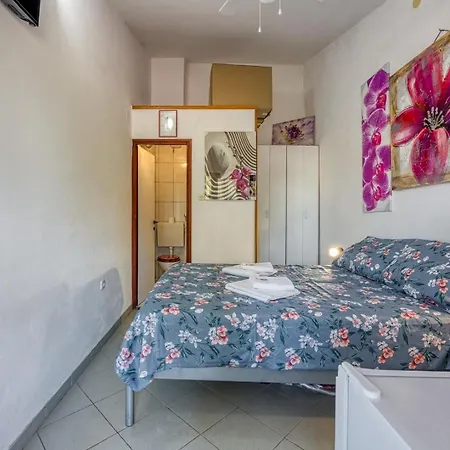 Mikelic Stara 招待所