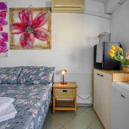 招待所 Mikelic Stara 巴尔巴里加