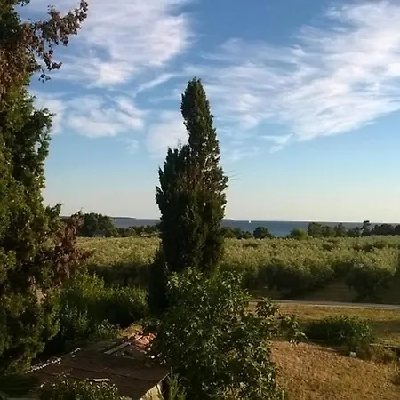 招待所 Mikelic Stara 巴尔巴里加