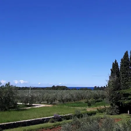 Mikelic Stara 招待所 巴尔巴里加