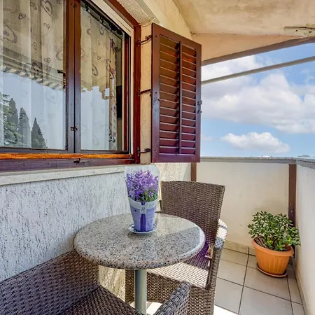 Guest house Mikelic Stara