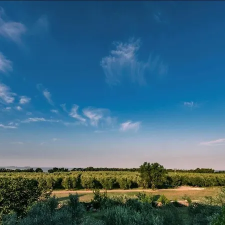 Mikelic Stara Maison d'hôtes