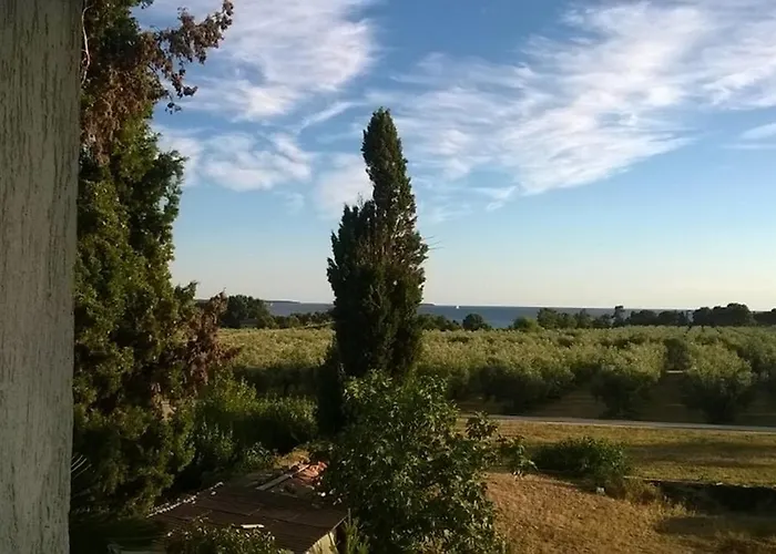 Affittacamere Mikelic Stara Barbariga